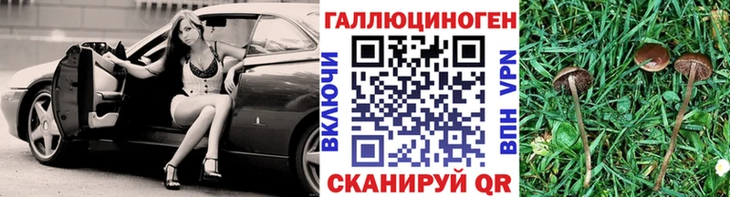 Купить  Сухой Лог  Галлюциногенные грибы GOLDEN TEACHER 