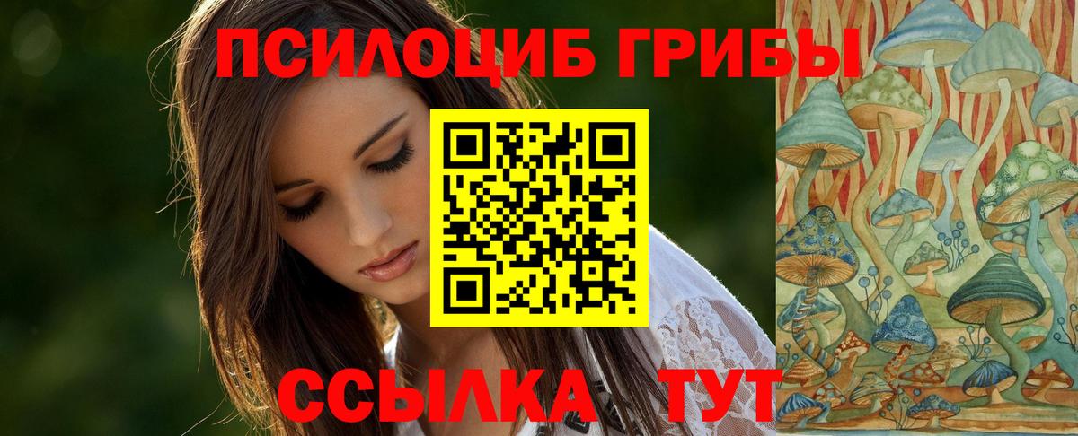 Псилоцибиновые грибы Magic Shrooms  Псилоцибиновые грибы мухоморы  Сухой Лог  Вход с VPN 